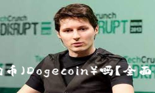 TP钱包支持狗狗币（Dogecoin）吗？全面解析与使用指南