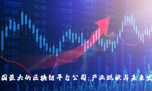 韩国最大的区块链平台公司：产业现状与未来发展