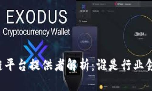 区块链平台提供者解析：谁是行业领先者？