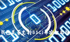 TP钱包是否支持BSC（币安智能链）?