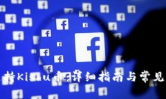 TP如何支持Kishu币：详细指南与常见问题解答